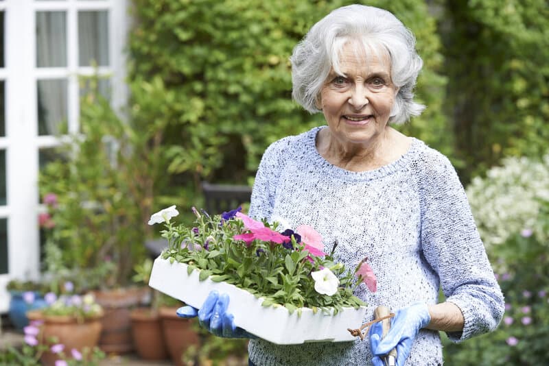 Gardening With Seniors
